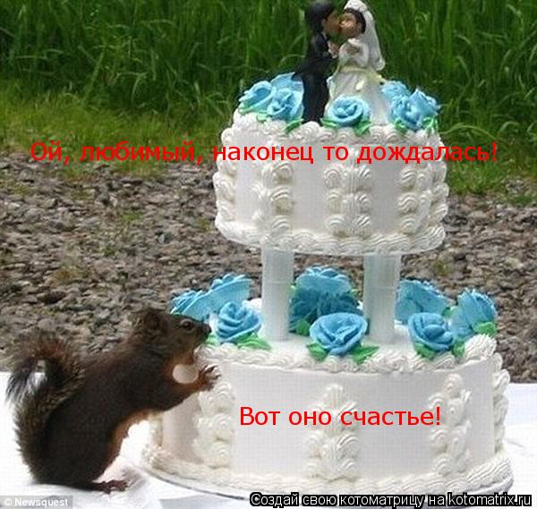 Ой, любимый, наконец то дождалась! Вот оно счастье!... Котоматрица: Ой, любимый, наконец то дождалась! Вот оно счастье!