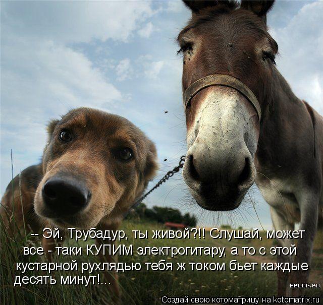 Котоматрица: -- Эй, Трубадур, ты живой?!! Слушай, может все - таки КУПИМ электрогитару, а то с этой кустарной рухлядью тебя ж током бьет каждые  десять минут!.