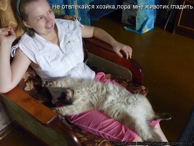Котоматрица: Не отвлекайся хозйка,пора мне животик гладить