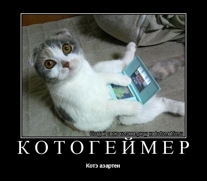 Котоматрица: котогеймер Котэ азартен