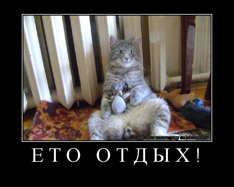 Ето отдых! ... Котоматрица: Ето отдых!