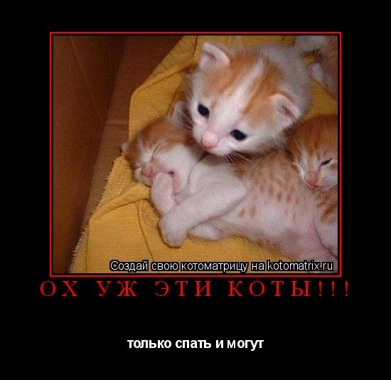Котоматрица: Ох уж эти Коты!!! только спать и могут