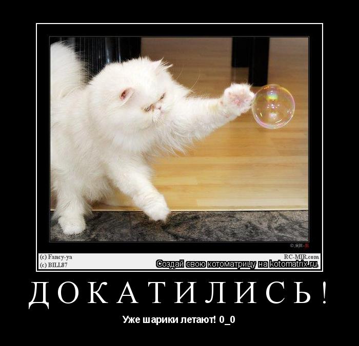 Докатились! Уже шарики летают! 0_0... Котоматрица: Докатились! Уже шарики летают! 0_0