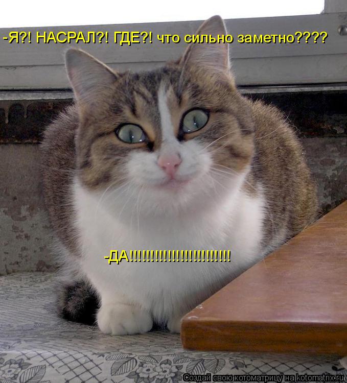 Я?! НАСРАЛ?! ГДЕ?! что сильно заметно???? -ДА!!!!!!!!!!!!!!!!!!!!!!!! -... Котоматрица: Я?! НАСРАЛ?! ГДЕ?! что сильно заметно???? -ДА!!!!!!!!!!!!!!!!!!!!!!!! -