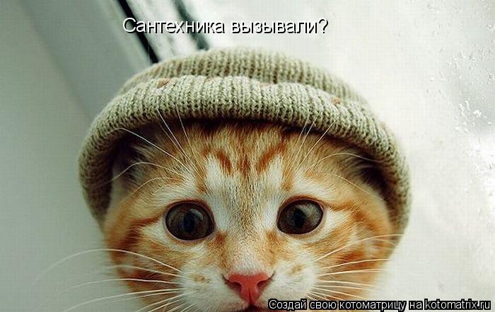 Котоматрица: Сантехника вызывали?