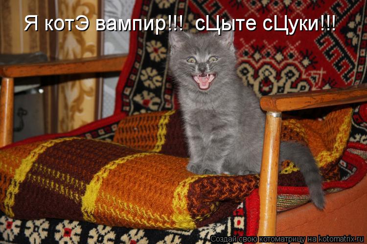 Котоматрица: Я котЭ вампир!!!  сЦыте сЦуки!!!