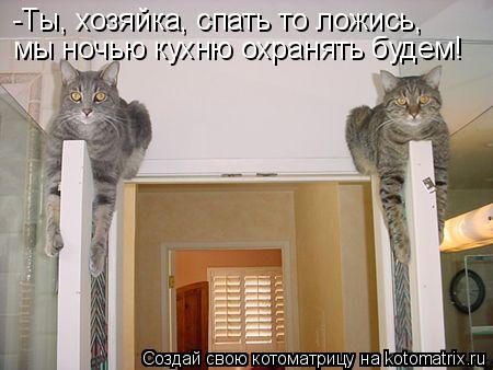 Котоматрица: -Ты, хозяйка, спать то ложись, мы ночью кухню охранять будем!