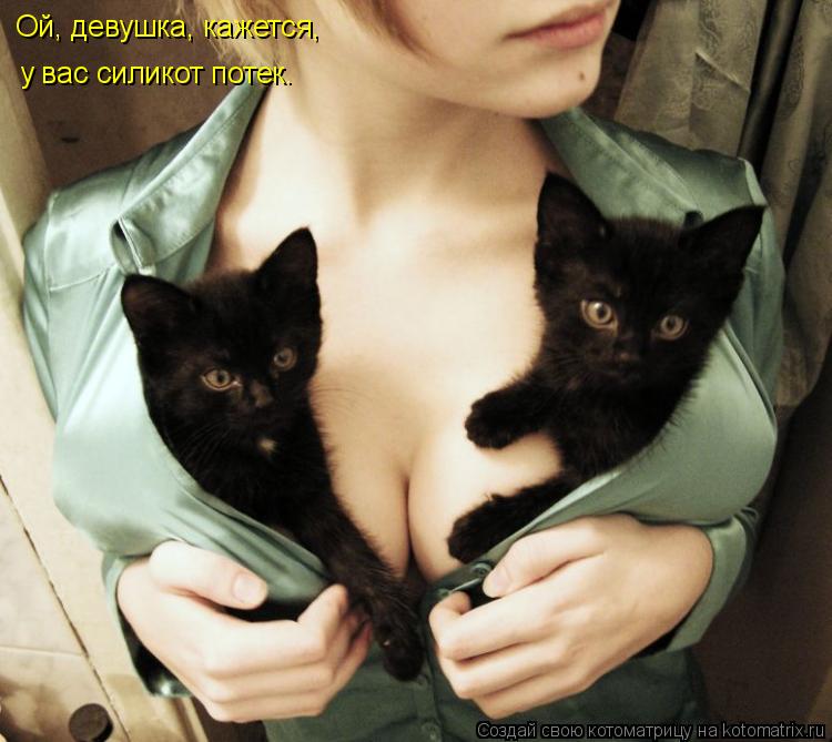 Котоматрица: Ой, девушка, кажется, у вас силикот потек.