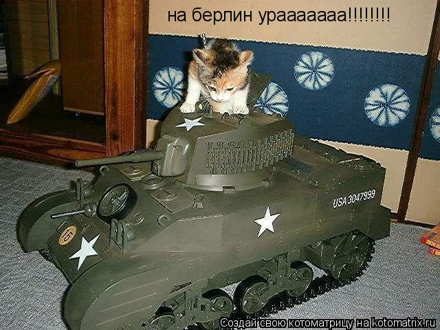 Котоматрица: на берлин урааааааа!!!!!!!!