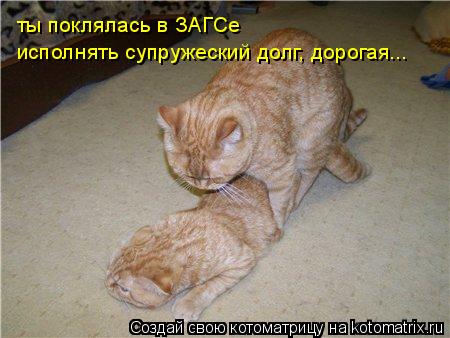 Котоматрица: ты поклялась в ЗАГСе исполнять супружеский долг, дорогая...