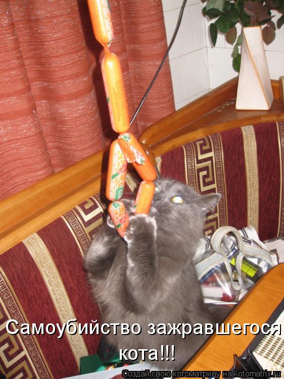 Самоубийство зажравшегося кота!!!... Котоматрица: Самоубийство зажравшегося кота!!!