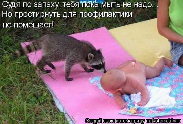 Судя по запаху, тебя пока мыть не надо... Но простирнуть для профилактики не помешает!... Котоматрица: Судя по запаху, тебя пока мыть не надо... Но простирнуть для профилактики не помешает!