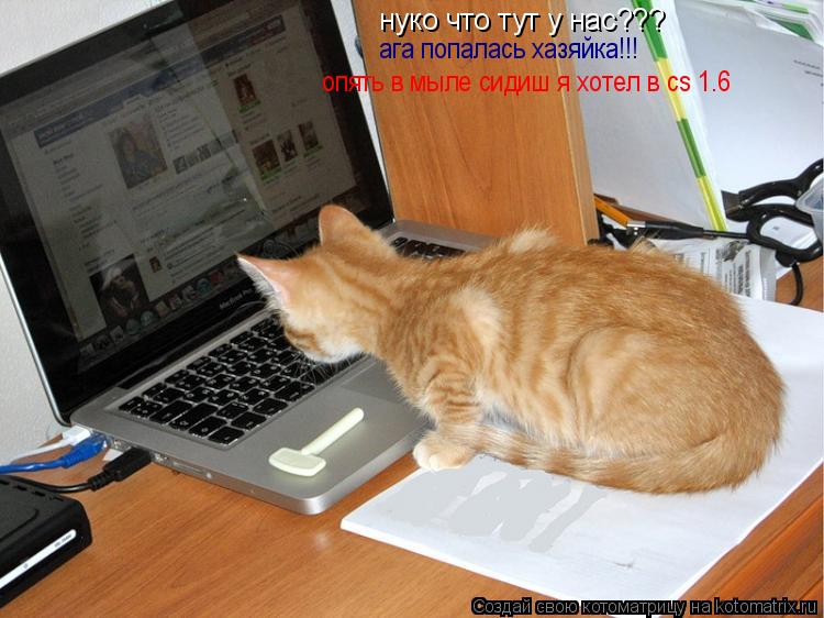 нуко что тут у нас??? ага попалась хазяйка!!! опять в мыле сидиш я хотел в cs 1.6... Котоматрица: нуко что тут у нас??? ага попалась хазяйка!!! опять в мыле сидиш я хотел в cs 1.6