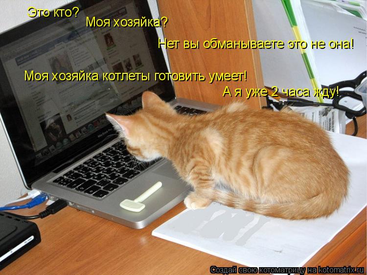 Это кто? Моя хозяйка? Нет вы обманываете это не она! Моя хозяйка котлеты готовить умеет! А я уже 2 ... Котоматрица: Это кто? Моя хозяйка? Нет вы обманываете это не она! Моя хозяйка котлеты готовить умеет! А я уже 2 часа жду!