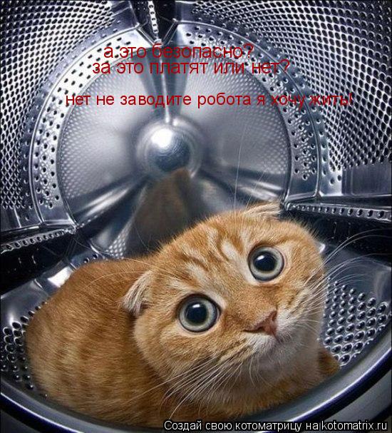 а это безопасно? за это платят или нет? нет не заводите робота я хочу жить!... Котоматрица: а это безопасно? за это платят или нет? нет не заводите робота я хочу жить!