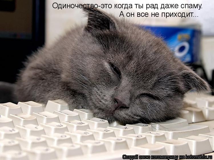 Одиночество-это когда ты рад даже спаму. А он все не приходит...... Котоматрица: Одиночество-это когда ты рад даже спаму. А он все не приходит...
