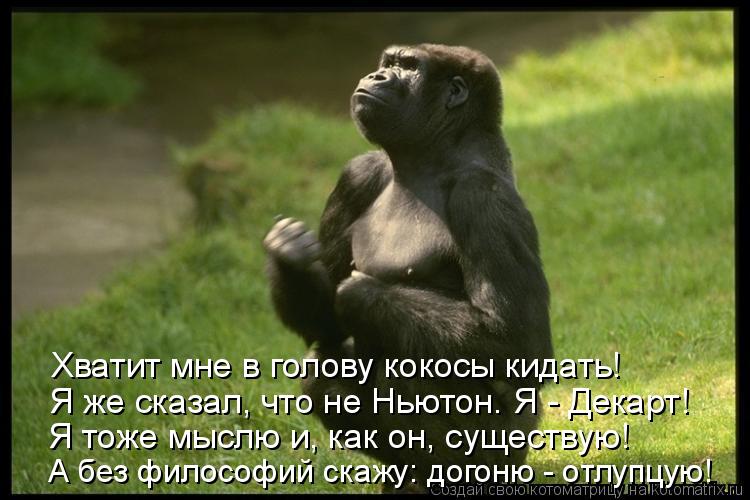 Хватит мне в голову кокосы кидать! Я же сказал, что не Ньютон. Я - Декарт! Я тоже мыслю и, как он, су... Котоматрица: Хватит мне в голову кокосы кидать! Я же сказал, что не Ньютон. Я - Декарт! Я тоже мыслю и, как он, существую! А без философий скажу: догоню - отлу