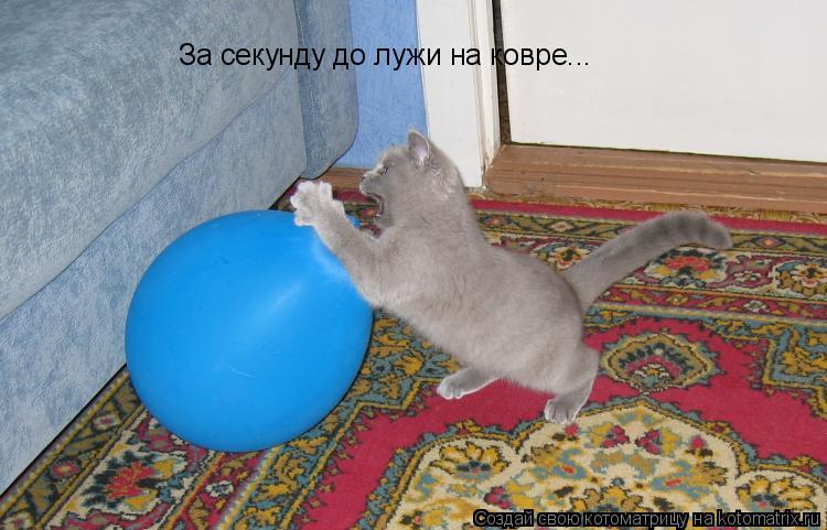 Котоматрица: За секунду до лужи на ковре...