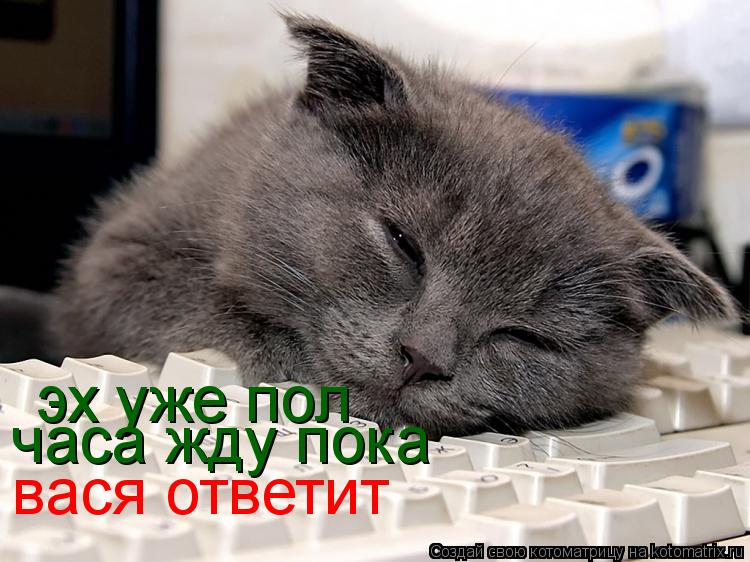 эх уже пол часа жду пока вася ответит... Котоматрица: эх уже пол часа жду пока вася ответит