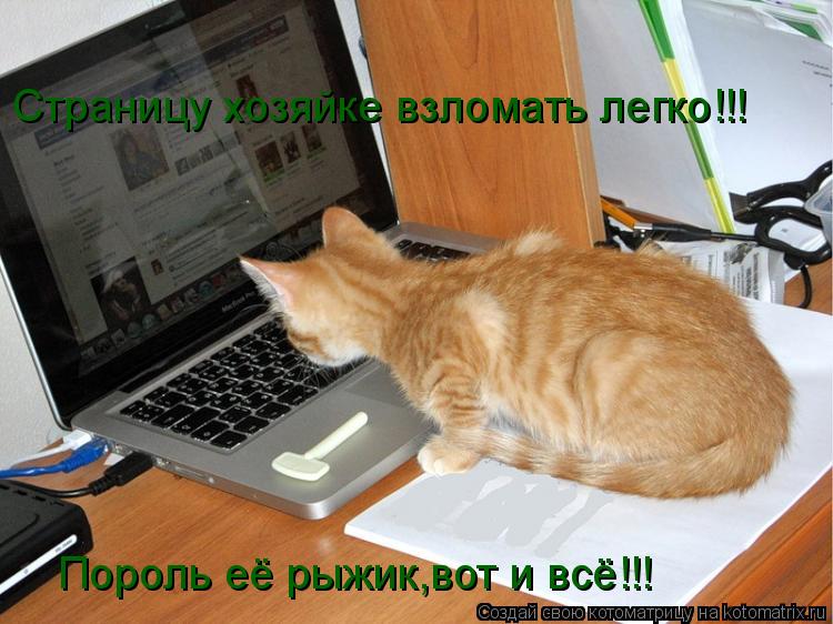 Страницу хозяйке взломать легко!!! Пороль её рыжик,вот и всё!!!... Котоматрица: Страницу хозяйке взломать легко!!! Пороль её рыжик,вот и всё!!!