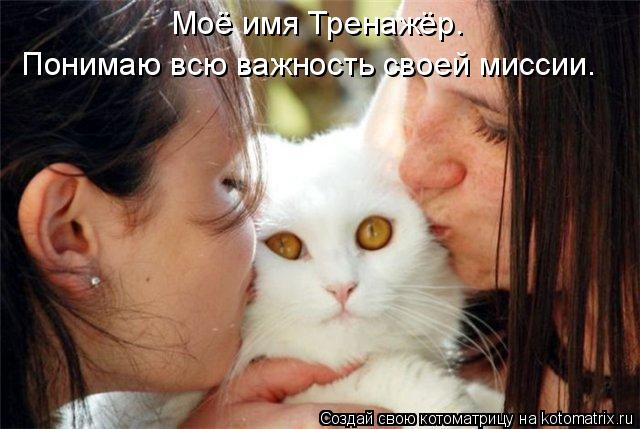 Моё имя Тренажёр. Понимаю всю важность своей миссии.... Котоматрица: Моё имя Тренажёр. Понимаю всю важность своей миссии.