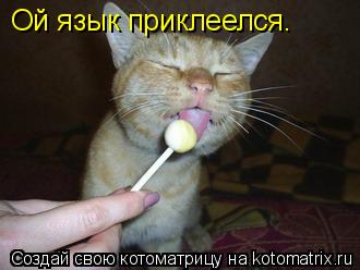 Котоматрица: Ой язык приклеелся.