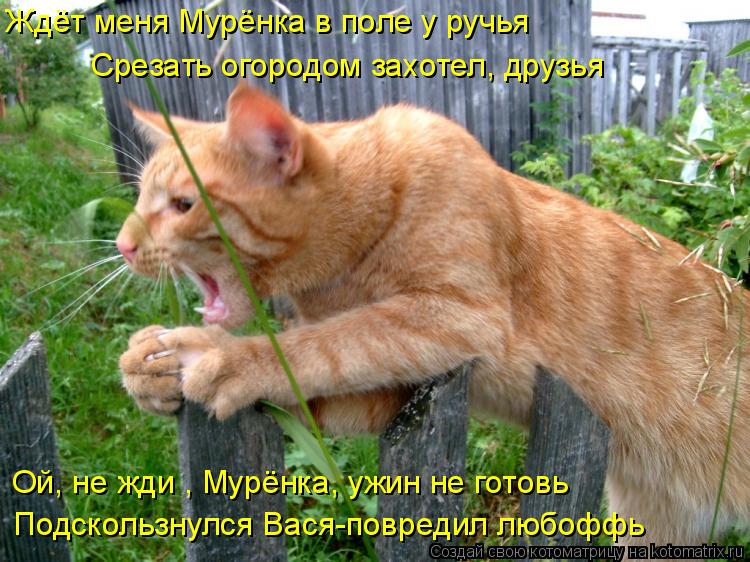 Ждёт меня Мурёнка в поле у ручья Срезать огородом захотел, друзья Ой, не жди , Мурёнка, ужин не готов... Котоматрица: Ждёт меня Мурёнка в поле у ручья Срезать огородом захотел, друзья Ой, не жди , Мурёнка, ужин не готовь Подскользнулся Вася-повредил любоффь