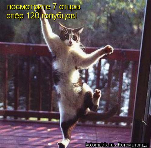 Котоматрица: посмотрите 7 отцов спёр 120 голубцов!