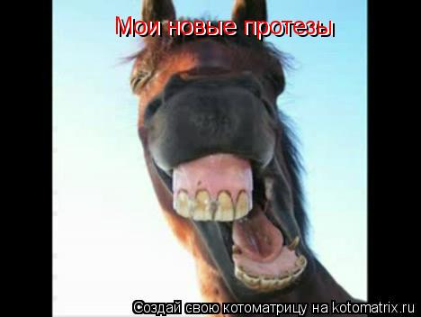 Котоматрица: Мои новые протезы Мои новые протезы Мои новые протезы