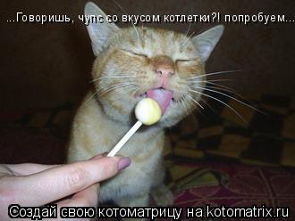 Котоматрица: ...Говоришь, чупс со вкусом котлетки?! попробуем...