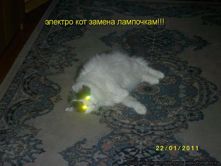 Котоматрица: электро кот замена лампочкам!!!