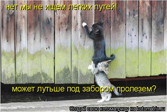 Котоматрица: может лутьше под забором пролезем? нет мы не ищем лёгких путей!