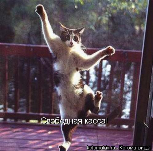 Котоматрица: Свободная касса!