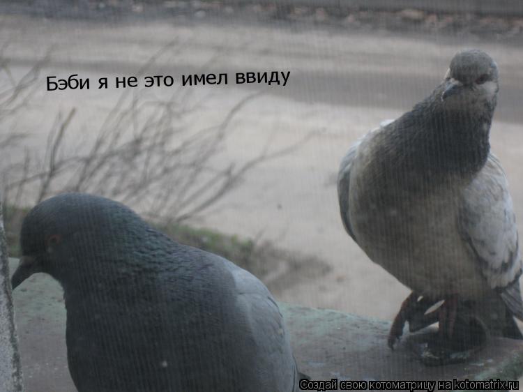 Котоматрица: Бэби я не это имел ввиду