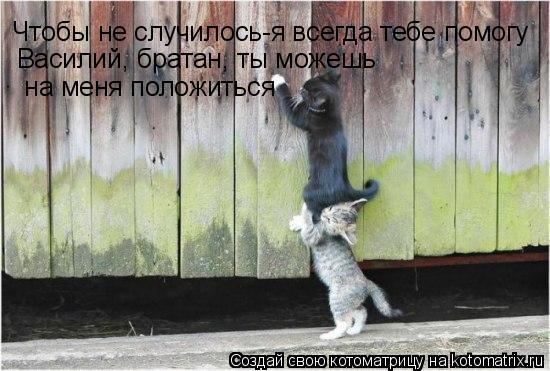Котоматрица: Чтобы не случилось - я всегда тебе помогу, Васька, братан!!! Чтобы не случилось-я всегда тебе помогу Василий, братан, ты можешь  на меня положи
