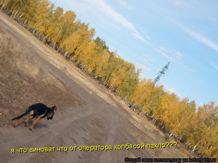 Котоматрица: я что виноват что от оператора колбасой пахло???