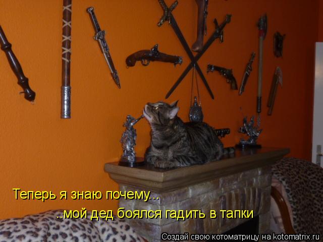 Котоматрица: Теперь я знаю почему... ..мой дед боялся гадить в тапки