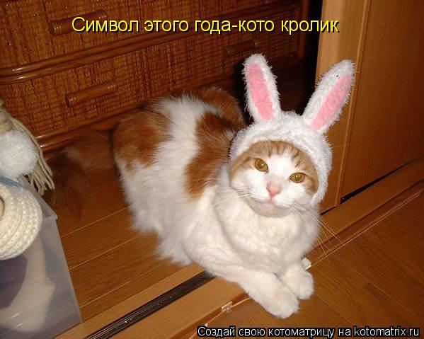 Котоматрица: Символ этого года-кото кролик
