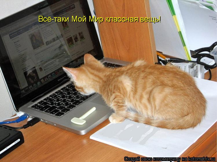 Котоматрица: Всё-таки Мой Мир классная вещь!