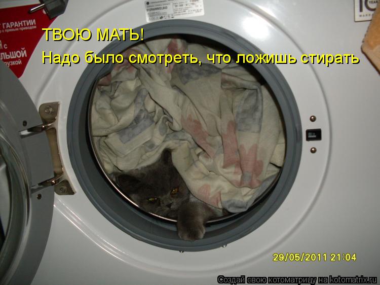 ТВОЮ МАТЬ! Надо было смотреть, что ложишь стирать... Котоматрица: ТВОЮ МАТЬ! Надо было смотреть, что ложишь стирать
