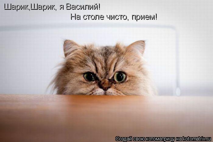 На столе чисто, прием! Шарик,Шарик, я Василий!... Котоматрица: На столе чисто, прием! Шарик,Шарик, я Василий!