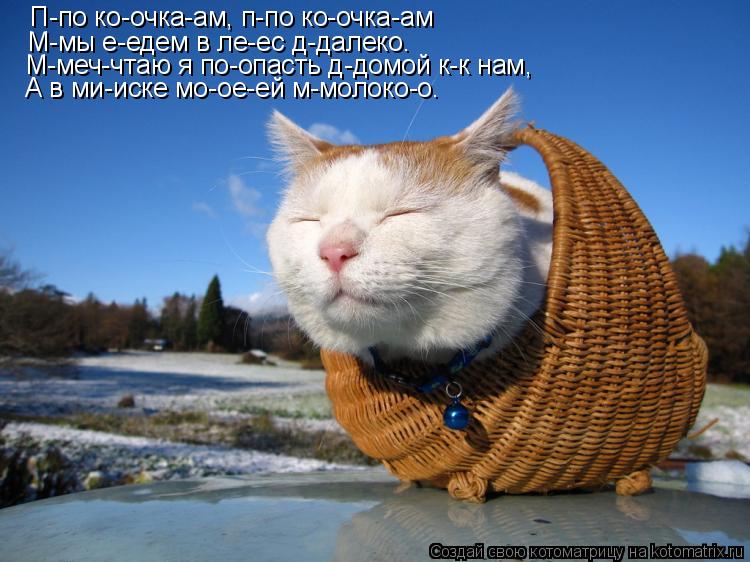 П-по ко-очка-ам, п-по ко-очка-ам М-мы е-едем в ле-ес д-далеко. М-меч-чтаю я по-опасть д-домой к-к нам... Котоматрица: П-по ко-очка-ам, п-по ко-очка-ам М-мы е-едем в ле-ес д-далеко. М-меч-чтаю я по-опасть д-домой к-к нам, А в ми-иске мо-ое-ей м-молоко-о.