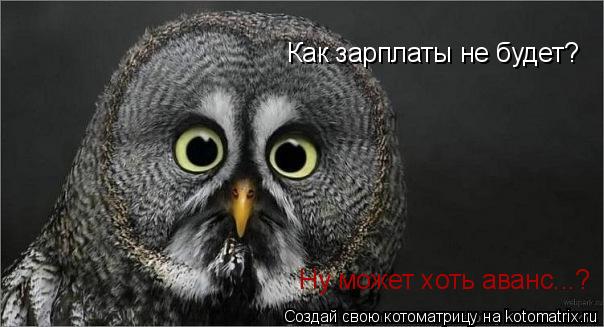 Котоматрица: Как зарплаты не будет? Ну может хоть аванс...?