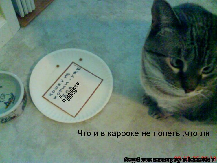 Котоматрица: п и мешала спать Что и в карооке не попеть ,что ли