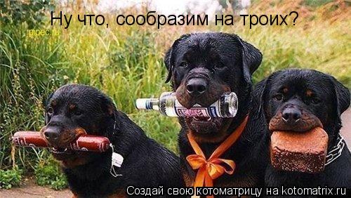 Котоматрица: Ну что, сообразим на троих?