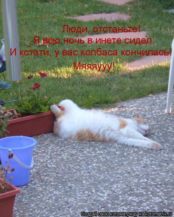 Котоматрица: Люди, отстаньте! Люди, отстаньте! Я всю ночь в инете сидел. И кстати, у вас колбаса кончилась! Мяяяууу!