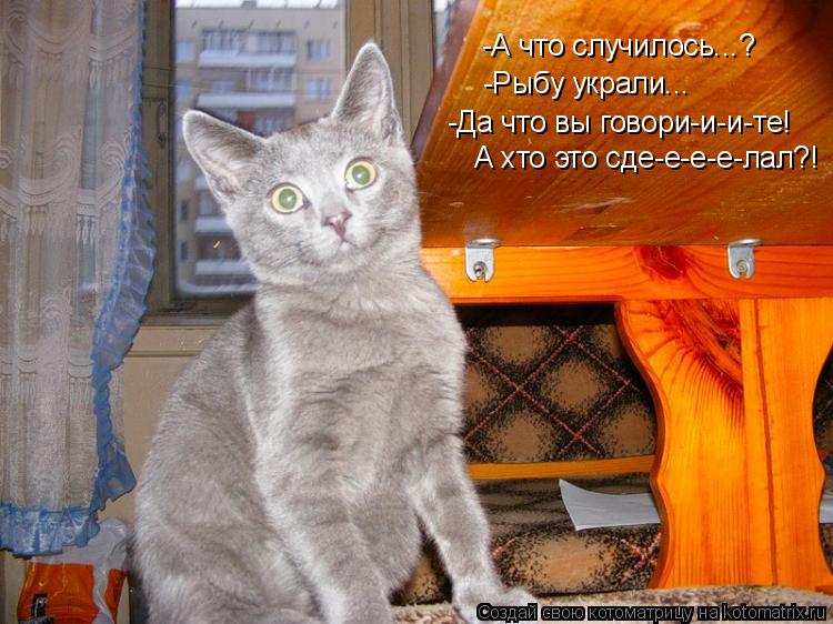 Котоматрица: -А что случилось...? -Рыбу украли... -Да что вы говори-и-и-те! А хто это сде-е-е-е-лал?!
