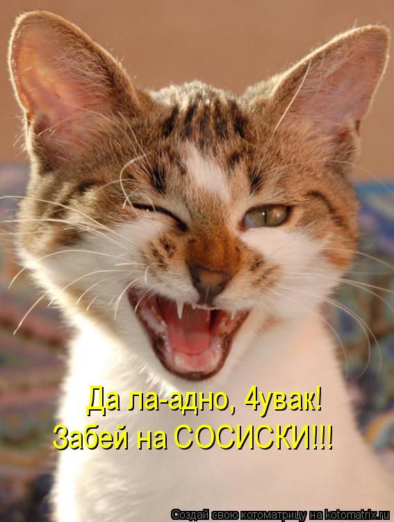 Котоматрица: Да ла-адно, 4увак! Забей на СОСИСКИ!!!