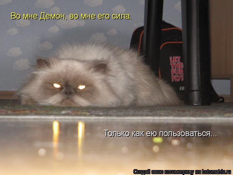 Котоматрица: Во мне Демон, во мне его сила.  Только как ею пользоваться...