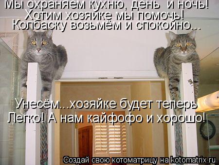 Котоматрица: Мы охраняем кухню, день  и ночь! Хотим хозяйке мы помочь!  Колбаску возьмём и спокойно... Унесём...хозяйке будет теперь  Легко! А нам кайфофо и х
